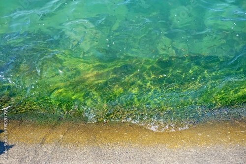 The sea that looks green on a clear day
