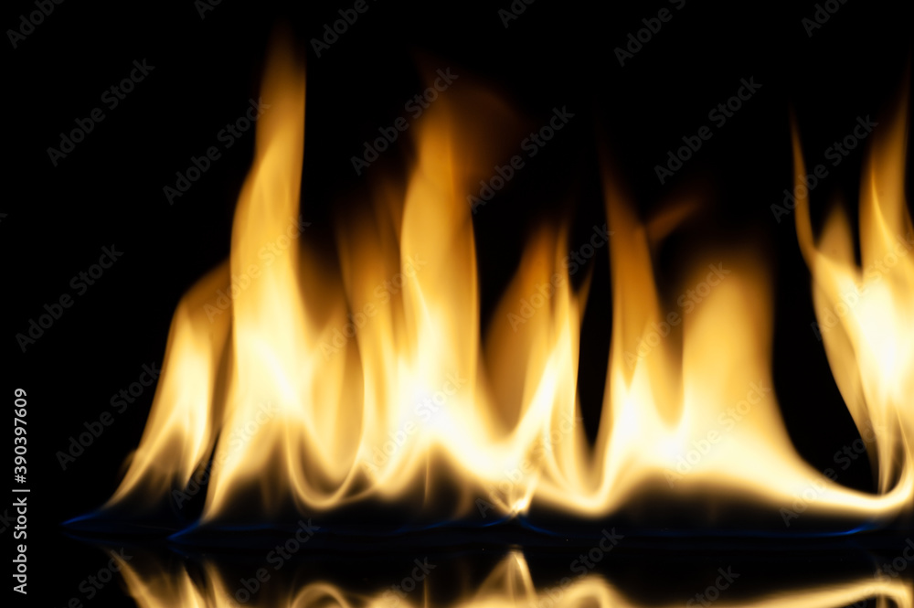 The fire. Flames are burning isolated on a black background. The fire. Flames are burning isolated on a black background.