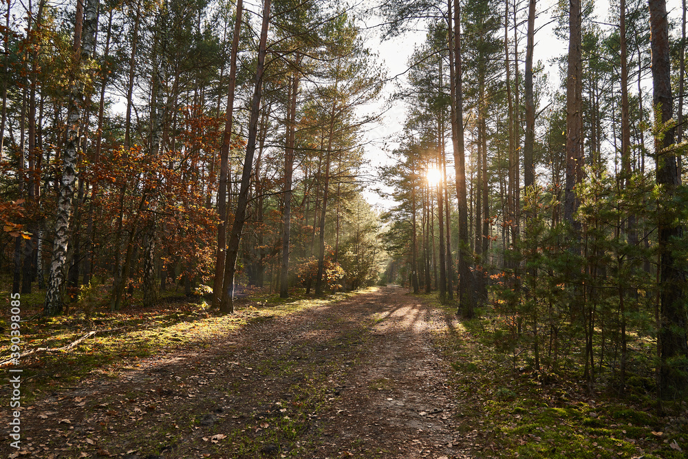 Rezerwat im. Króla Jana Sobieskiego