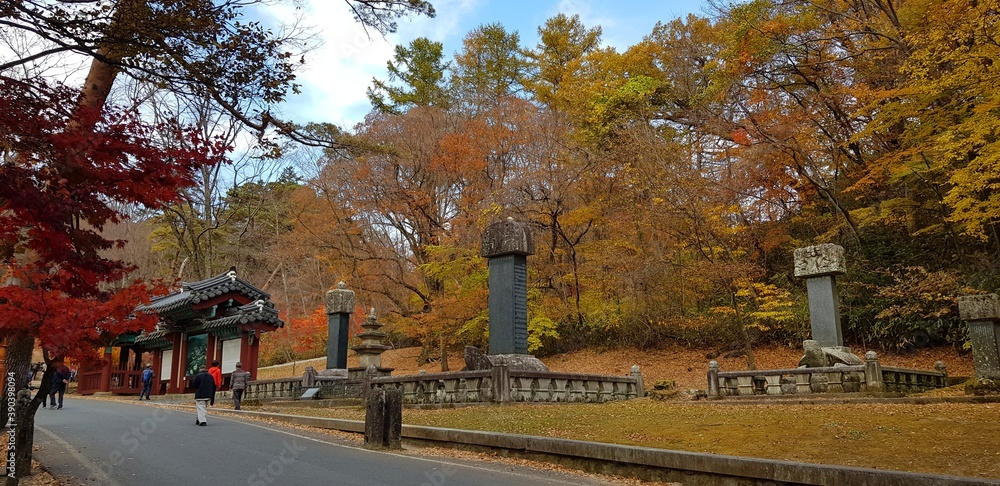Autumn leaves and Korean architecture