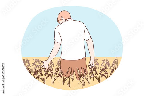 Agriculture, farming, harvesting concept. Young man or boy agronomist farmer cartoon character standing in farmland golden wheat field holding rye ear. Barley or grain agricultural harvest season.