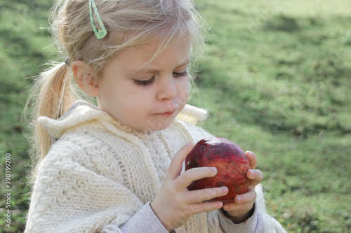 Cute tree years old girl eating red organic apple. Candid outdoor childhood concept.
 photo