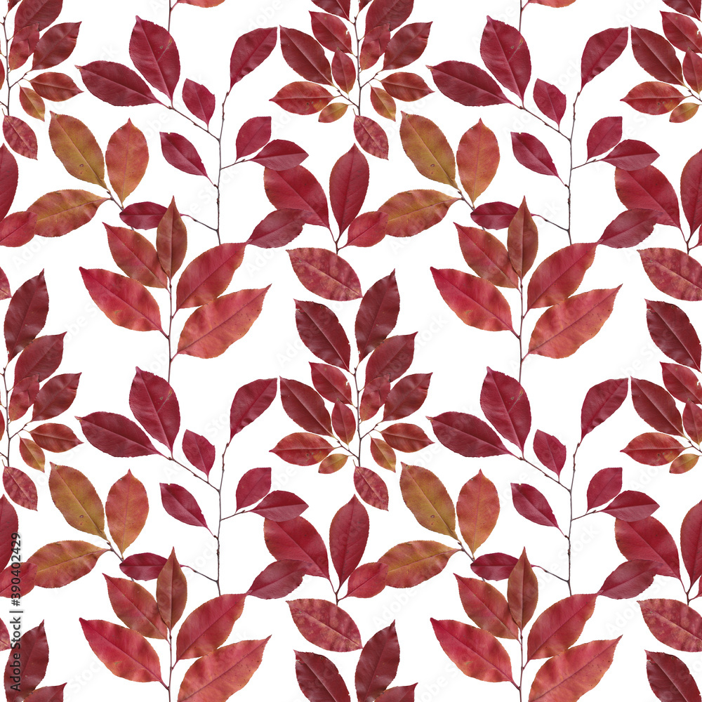 Seamless bright pattern consist of scanned leaves on white. Useful for textile and autumn backgrounds.