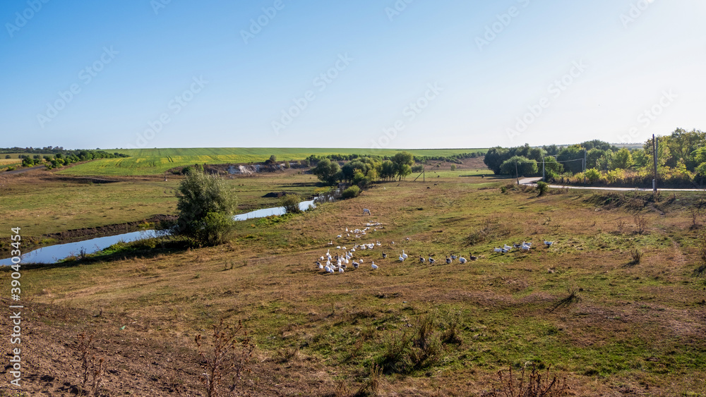 Fototapeta premium Nature scape of Moldova
