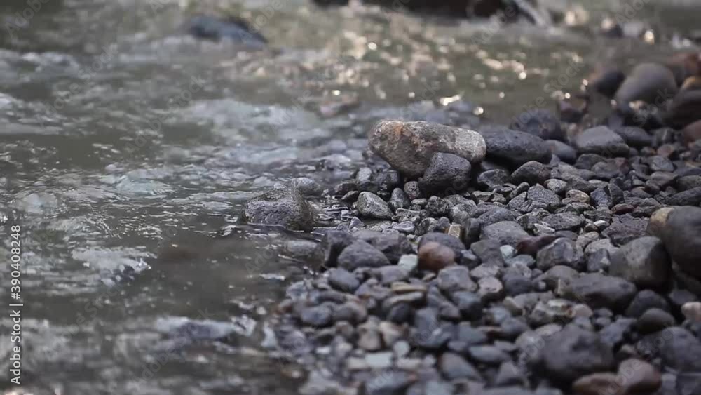 Fresh mountain stream. Can be used for relaxation Fresh mountain stream. Can be used for relaxation