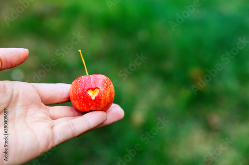 A woman holds a red crab Apple with a heart in his hand. An Apple on a green blurry background.