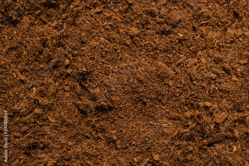 Coconut substrate background.