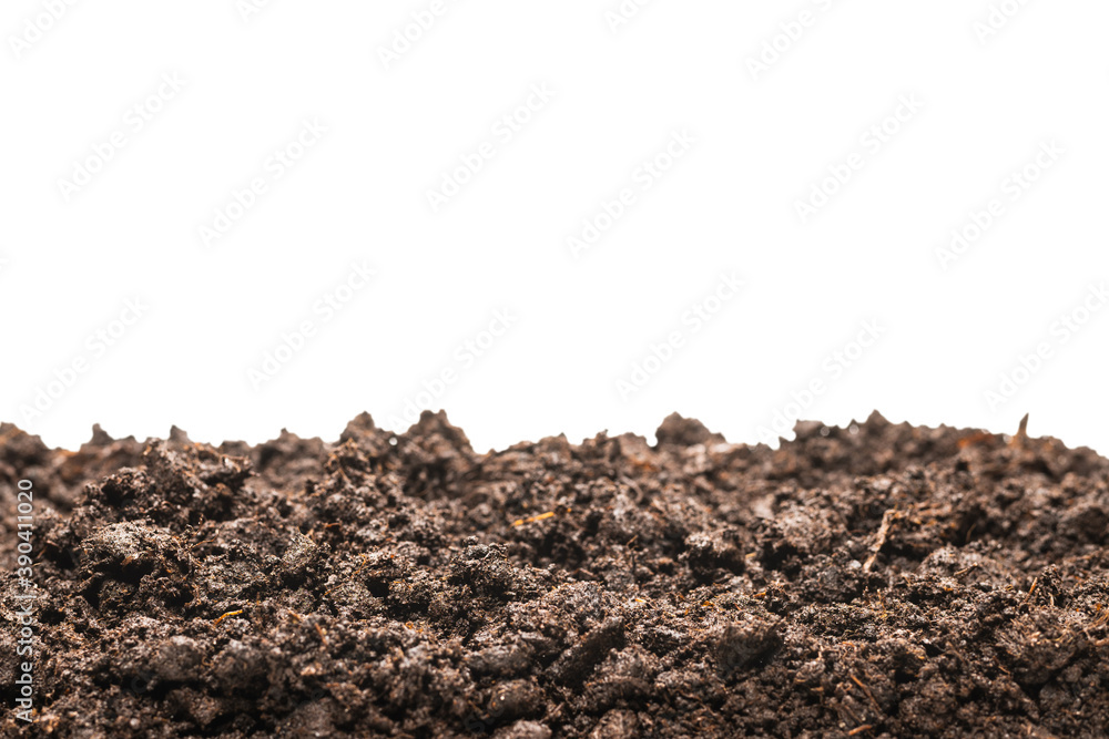 Black land for plant. Black land for plant.
