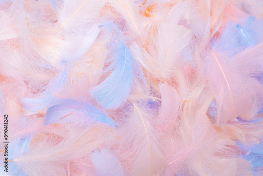 Fototapeta premium Colorful feather background, top view.