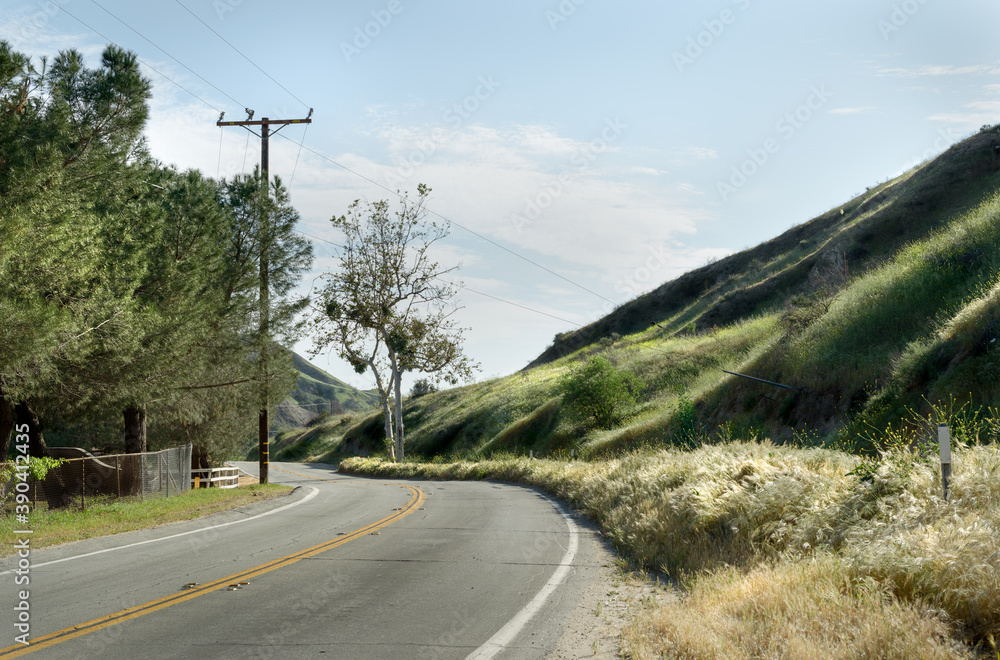 left turn in country road with grass