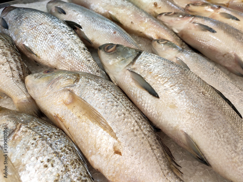 SEREMBAN, MALAYSIA -JANUARY 20, 2020: Various types of fish in the fish market are displayed for sale. Separated according to species and neatly arranged on ice.