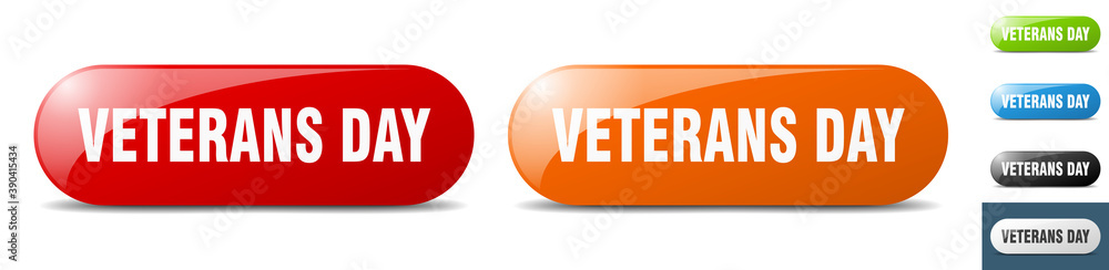 veterans day button. key. sign. push button set veterans day button. key. sign. push button set