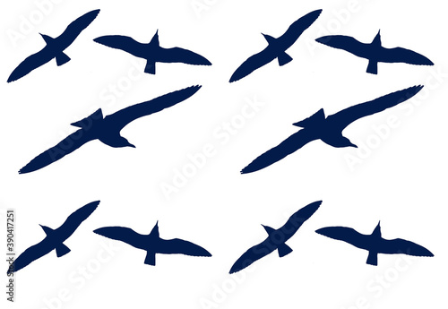Blue seagulls isolated on white, seamless pattern, vector isolated © Savvapanf Photo ©