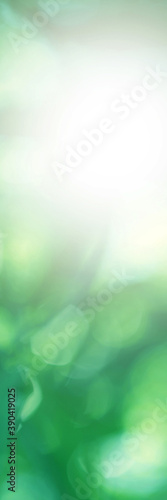 Green light leaves blurred and blur natural abstract. Effect sunlight soft bright shiny style bokeh circle yellow and orange blurry morning . For wallpaper backdrop and background. 