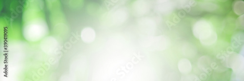 Green light leaves blurred and blur natural abstract. Effect sunlight  soft bright shiny style  bokeh circle yellow and orange blurry morning . For wallpaper backdrop and background.
