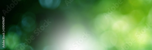 Green light leaves blurred and blur natural abstract. Effect sunlight soft bright shiny style bokeh circle yellow and orange blurry morning . For wallpaper backdrop and background. 