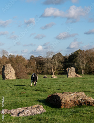 Neolithic stone circle at Stanton Drew, near Bristol in Somerset UK. These stones are part of the Great Circle at this complex of several groups of stones.  photo