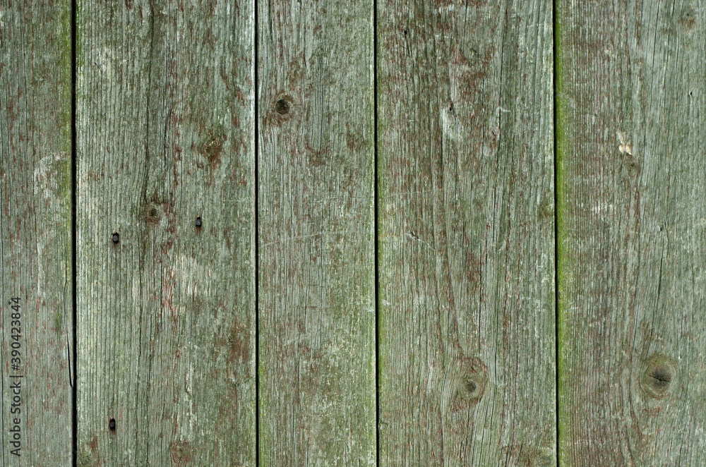 Green bright wooden background texture, May be used for design as background. Copy space wood texture Green bright wooden background texture, May be used for design as background. Copy space wood texture