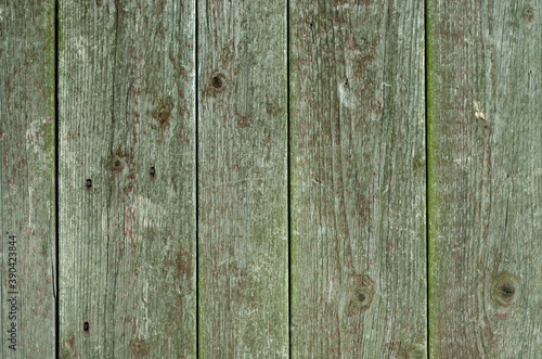 Green bright wooden background texture  May be used for design as background. Copy space wood texture