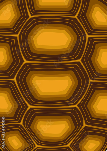 Vector illustration patterns,  sulcata, indian star tortoise shell, turtle shell seamless patterns in flat style for your design. 