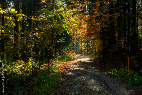 Herbst im Bayrischen Wald © walterbild
