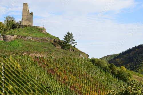 Weinberge und Ruine Coraidelstein über Klotten photo