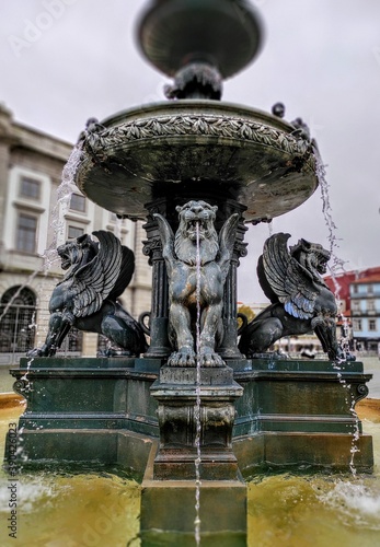 fountain in the park