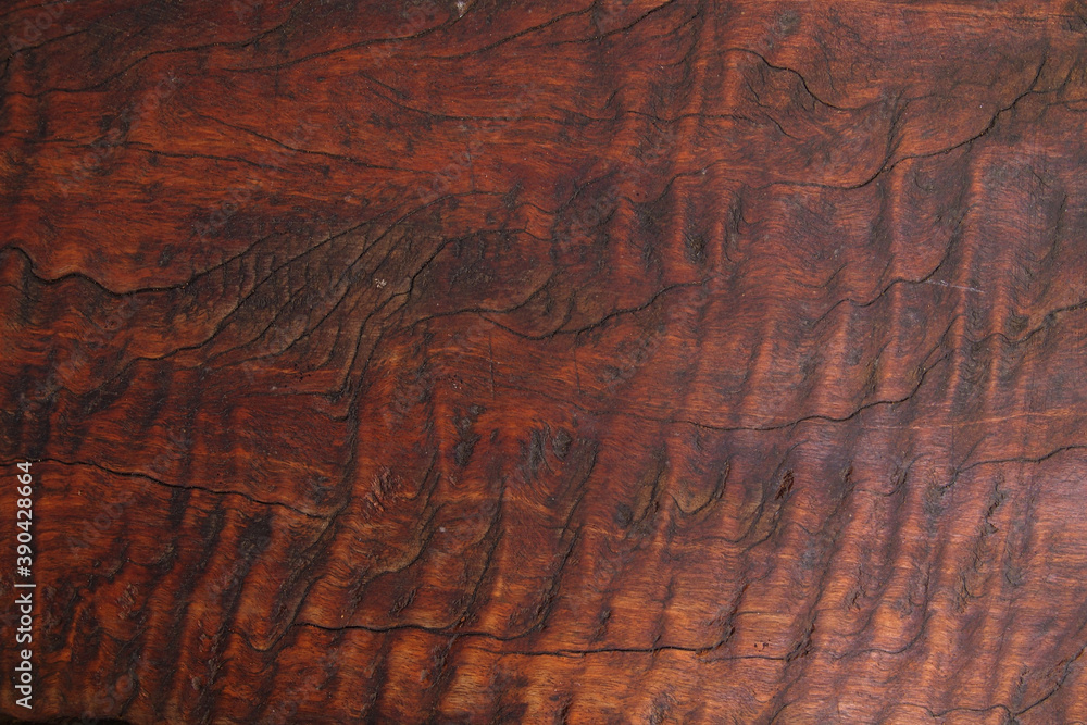 Brown Wood Texture. Bark pattern background.