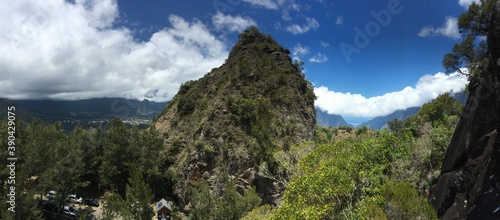 Fototapeta Naklejka Na Ścianę i Meble -  Fleur jaune mountain in Cilaos, Reunion island, climbing place
