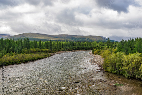 northern river flowing among the rocks in a forest area © Alx_Yago