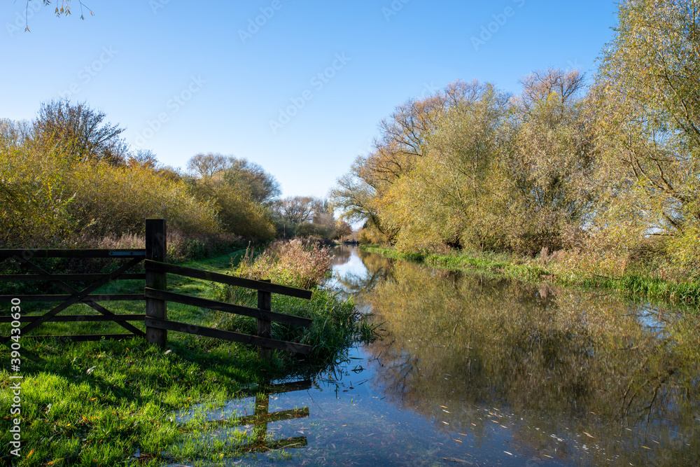 Still water canal with fall leaves reflection