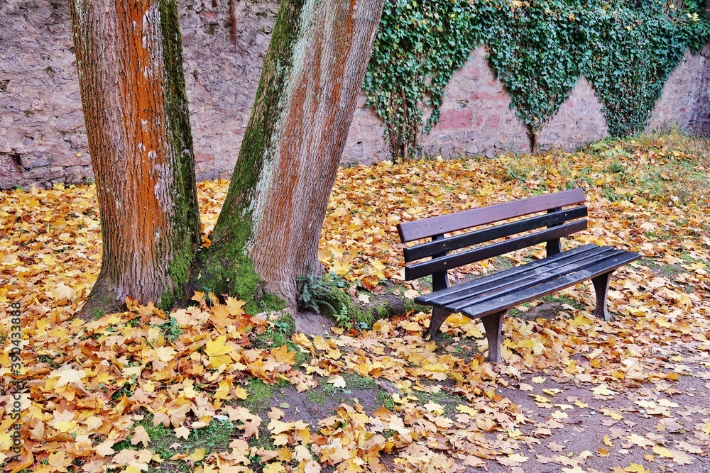 Einsame Bank im herbstlichen Park Einsame Bank im herbstlichen Park