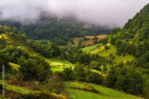 Paisaje verde típico de los valles de Asturias.