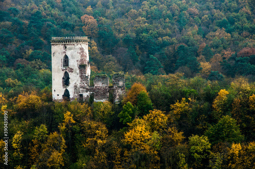 medieval castle in the forest. ancient ruined tower. dilapidated fortress. ruins of a knightly fortification. remains of the citadel