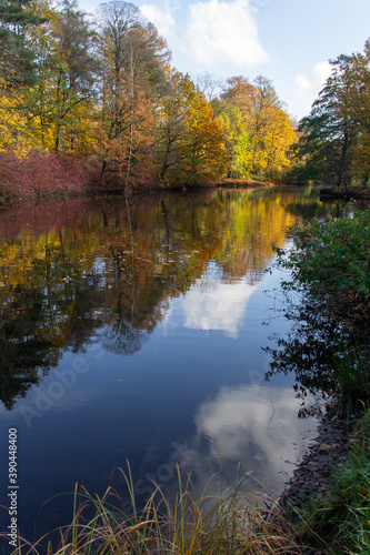 forest pond surrounded by autumn trees