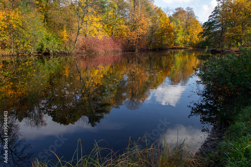 autumn landscape of colorful trees surrounding a forest pond