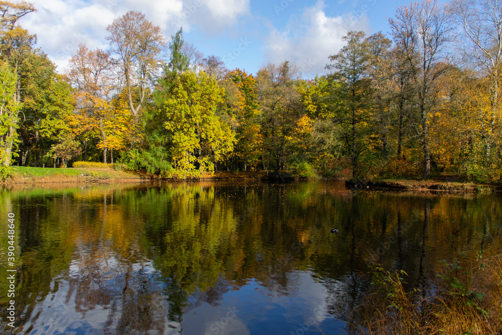 autumn landscape multicolored forest around the reservoir