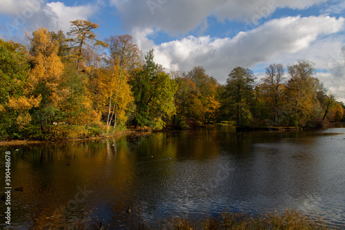 autumn landscape multicolored forest around the reservoir