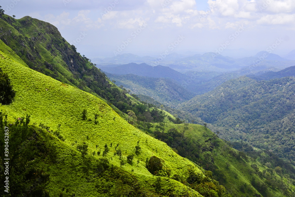 Lush green grass on the rocky mountain near Ella village. Also called small Adams peak. Horizon with mountain range and cloudy sky on the background. Fresh green colors landscape. Sri Lanka