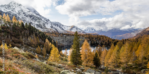 Autumn season with golden larche trees over Lake Viola in the Campo Valley in Grisons, Switzerland