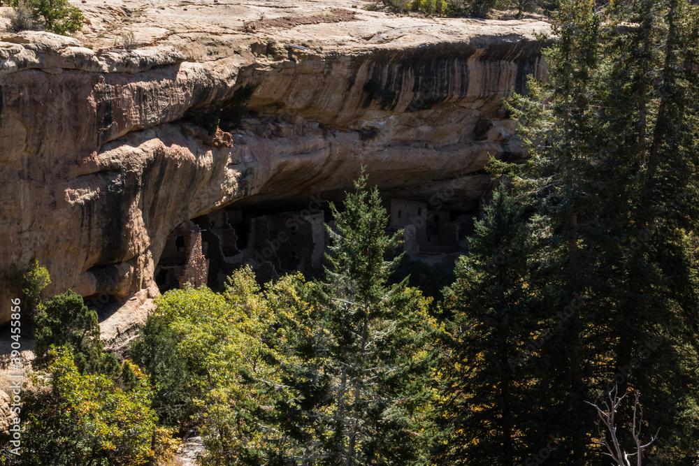 The Spruce Tree House Cliff Dwelling, Mesa Verde National Park, Colorado, USA The Spruce Tree House Cliff Dwelling, Mesa Verde National Park, Colorado, USA