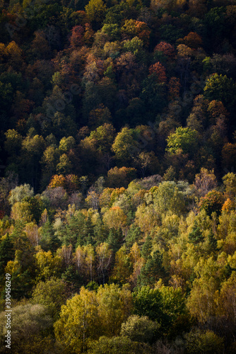 Aerial forest view. Beautiful autumn landscape.