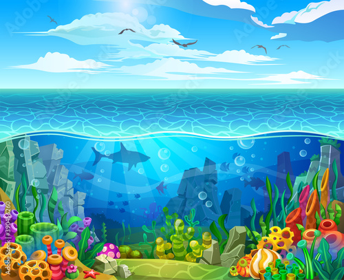 Underwater and surface marine world. Colorful algae, corals, sponges, rocks and fish on the underwater reef.