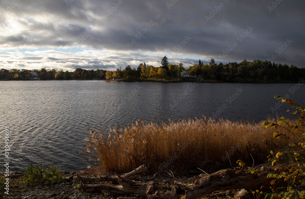 
Autumn lake shore under a cloudy sky