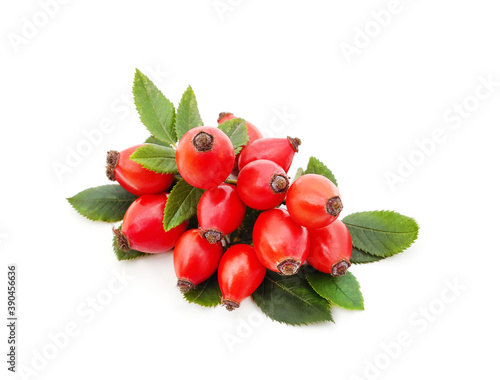 Rosehip with red leaves.
