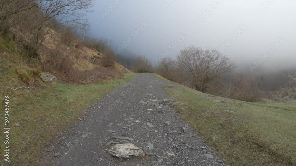 SLOW MO The Valley Val d’Astau, southwest of Bagneres de Luchon in the French Pyrenees. The trail to Lake d'Oô, Haute-Garonne, France. The dominant tree species are deciduous trees (Elm, Ash, Maple). SLOW MO The Valley Val d’Astau, southwest of Bagneres de Luchon in the French Pyrenees. The trail to Lake d'Oô, Haute-Garonne, France. The dominant tree species are deciduous trees (Elm, Ash, Maple).