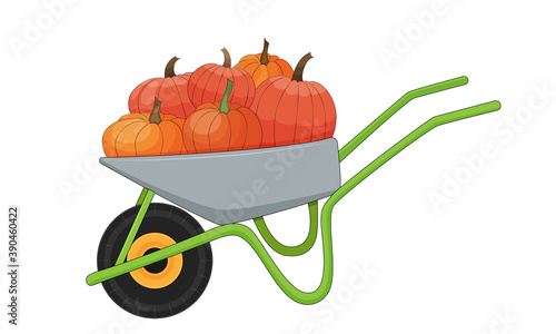 Wheelbarrow full of pumpkins. Stock vector illustration.
