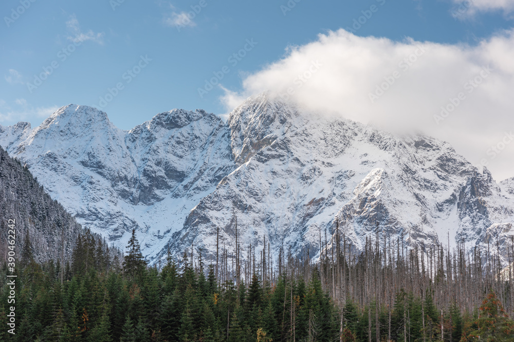 Road with autumn trees and high mountains covered with snow Road with autumn trees and high mountains covered with snow
