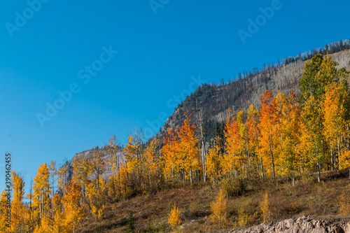Fall Color on Slide Rock Mountain  Hermosa  Colorado  USA