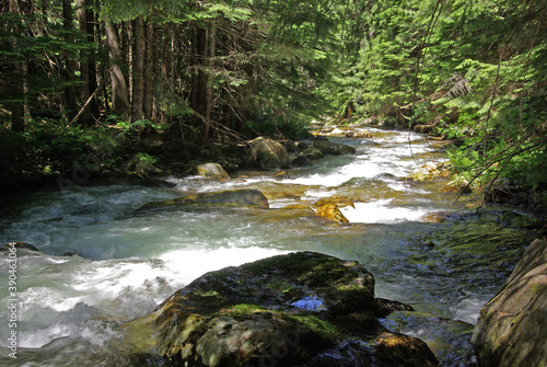 National Forests. St. Joe National Forest, Idaho. Boulder Creek